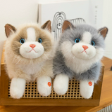 Cute Kitten Plush Toy: Simulated Cat Doll Sleeping Comfort Ragdoll | Soft Stuffed Animal Hugging Pillow Gift