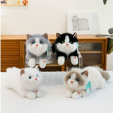 Cute Kitten Plush Toy: Simulated Cat Doll Sleeping Comfort Ragdoll | Soft Stuffed Animal Hugging Pillow Gift