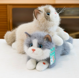 Cute Kitten Plush Toy: Simulated Cat Doll Sleeping Comfort Ragdoll | Soft Stuffed Animal Hugging Pillow Gift