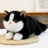 Cute Kitten Plush Toy: Simulated Cat Doll Sleeping Comfort Ragdoll | Soft Stuffed Animal Hugging Pillow Gift