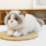 Cute Kitten Plush Toy: Simulated Cat Doll Sleeping Comfort Ragdoll | Soft Stuffed Animal Hugging Pillow Gift
